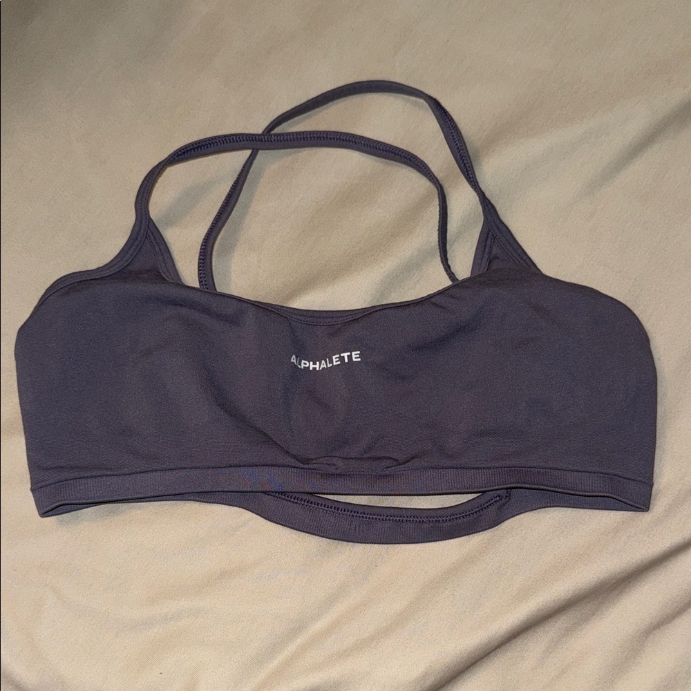 Alphalete Deep Purple Sports Bra - Medium